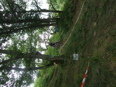 Orsanco 2013, Photo 362