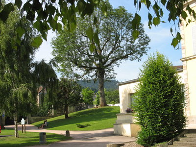 VICHY-VOSGES-ALSACE-LE CREUSOT, 142 REMIREMONT