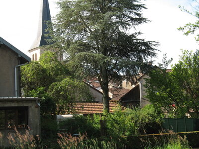 VICHY-VOSGES-ALSACE-LE CREUSOT, 155 VAL D’AJOL