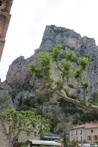 Ultratrail du Verdon . 14/06/2013., IMG_2950