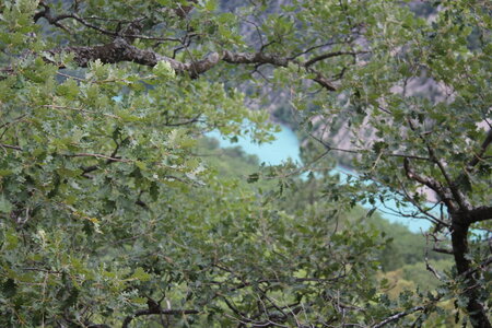Ultratrail du Verdon . 14/06/2013., IMG_3005