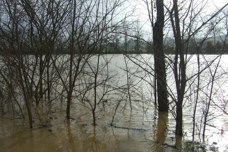 INONDATIONS GOLF DE PALLANNE JANVIER 2013, 2013_01230081
