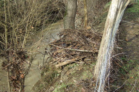 INONDATIONS GOLF DE PALLANNE JANVIER 2013, 2013_01230107