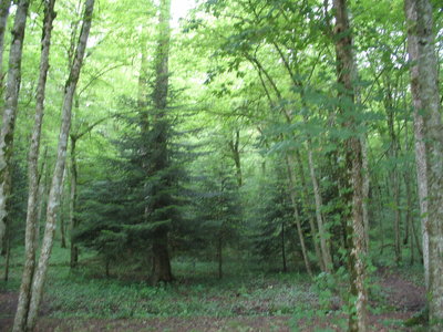 VICHY-VOSGES-ALSACE-LE CREUSOT, 325 CONTREXEVILLE