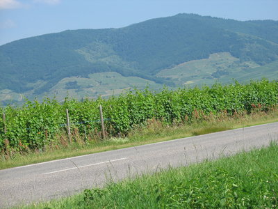 VICHY-VOSGES-ALSACE-LE CREUSOT, 401 MITTELWIHR