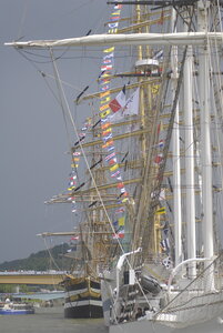 2008-07 - Armada de Rouen, _ets6469