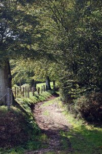 2012-05 - Saint-Sever-Calvados, DSC_0005