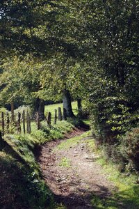 2012-05 - Saint-Sever-Calvados, DSC_0006