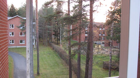 My flat, IMG_3580