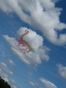 Notre Dame des Landes, IMG_1638