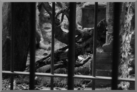11 Black and White, 01 Girona