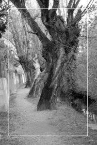 11 Black and White, Canal des malcontents Valence
