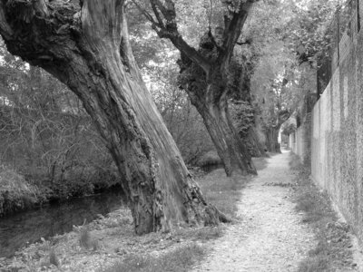11 Black and White, Canal des malcontents Valence