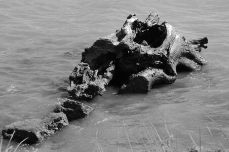 11 Black and White, Le Rhône Valence