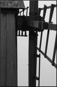 11 Black and White, moulin oland
