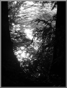 11 Black and White, Nantua