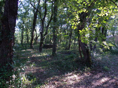 Camp d'été CSB 2013, IMGP2754