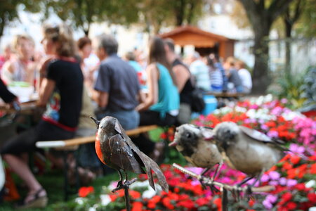BBQ Paysan du 22 aout 2013, IMG_0142