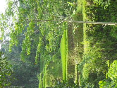 Judith, DSCN0822
