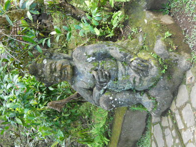 Judith, DSCN0819