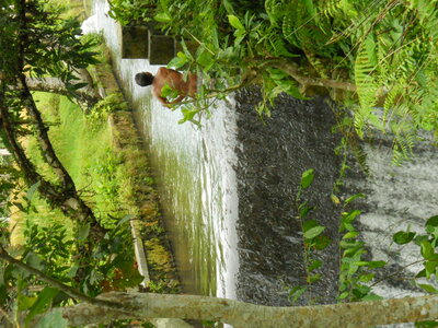 Judith, DSCN0782