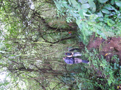 Judith, DSCN0878