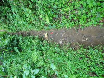 Judith, DSCN0869