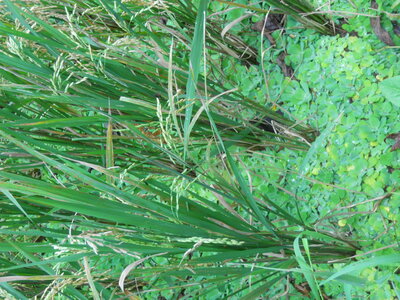 Judith, DSCN0780