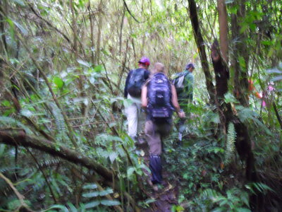 Judith, DSCN0870
