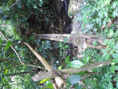 Judith, DSCN0977