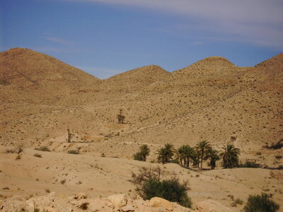 TUNISIE, 511-TunisieNov2010-desert