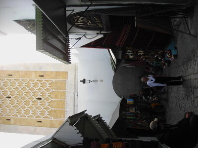 TUNISIE, 778-TunisieNov2010-