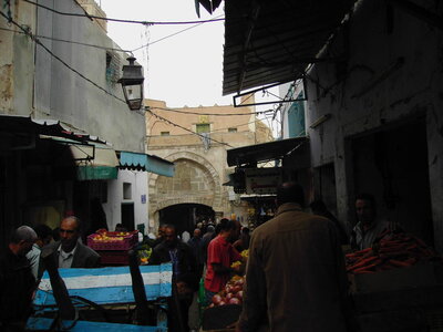 TUNISIE, 646-TunisieNov2010-