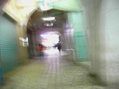 TUNISIE, 641-TunisieNov2010-