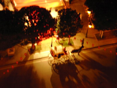 TUNISIE, 735-TunisieNov2010-