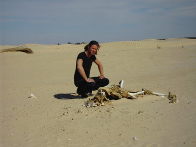 TUNISIE, 355-TunisieNov2010-zaafrane desert cimetiere des dromadaires