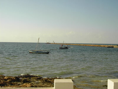 TUNISIE, 73-TunisieNov2010-