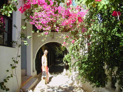 TUNISIE, 501-TunisieNov2010-hotel Douz piscine