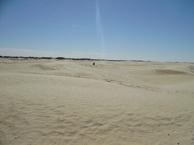 TUNISIE, 370-TunisieNov2010-zaafrane desert