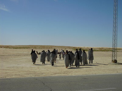 TUNISIE, 378-TunisieNov2010-zaafrane touristes