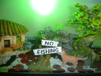 AQUARIUM 2013, P1100729
