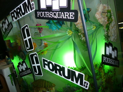 AQUARIUM 2013, P1100747