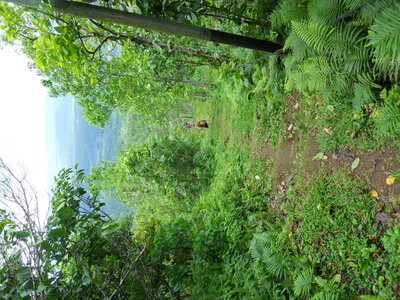 Judith, DSCN1220