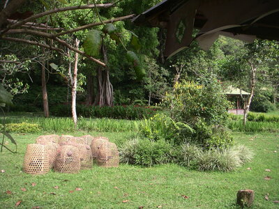 Sand&Regis, 15PICT0004