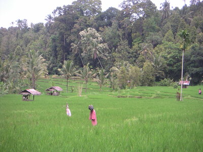 Sand&Regis, 16PICT0013