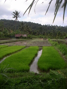 Sand&Regis, 16PICT0010