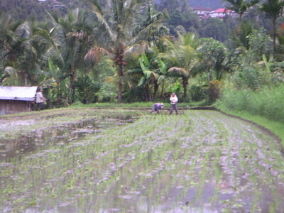 Sand&Regis, 16PICT0009