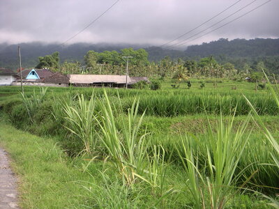 Sand&Regis, 14PICT0006