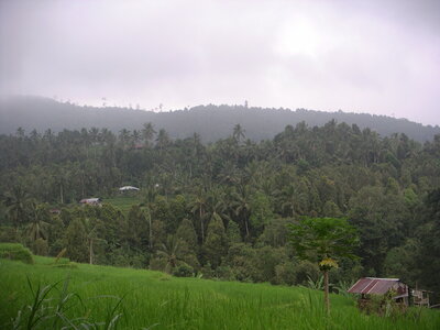 Sand&Regis, 15PICT0025