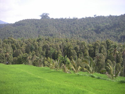 Sand&Regis, 15PICT0029